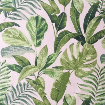 Tessuto Foglie Calathea