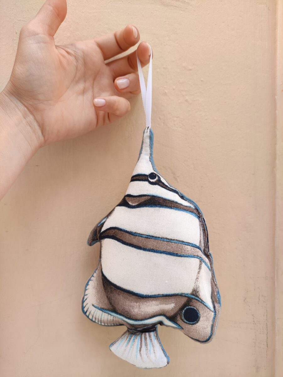 PESCE CALIPSO AZZURRO (2)