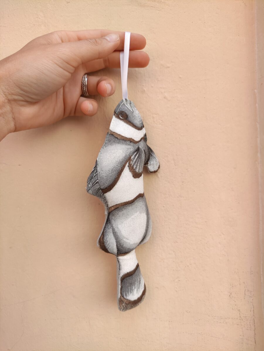 PESCE NEMO GRIGIO (2)