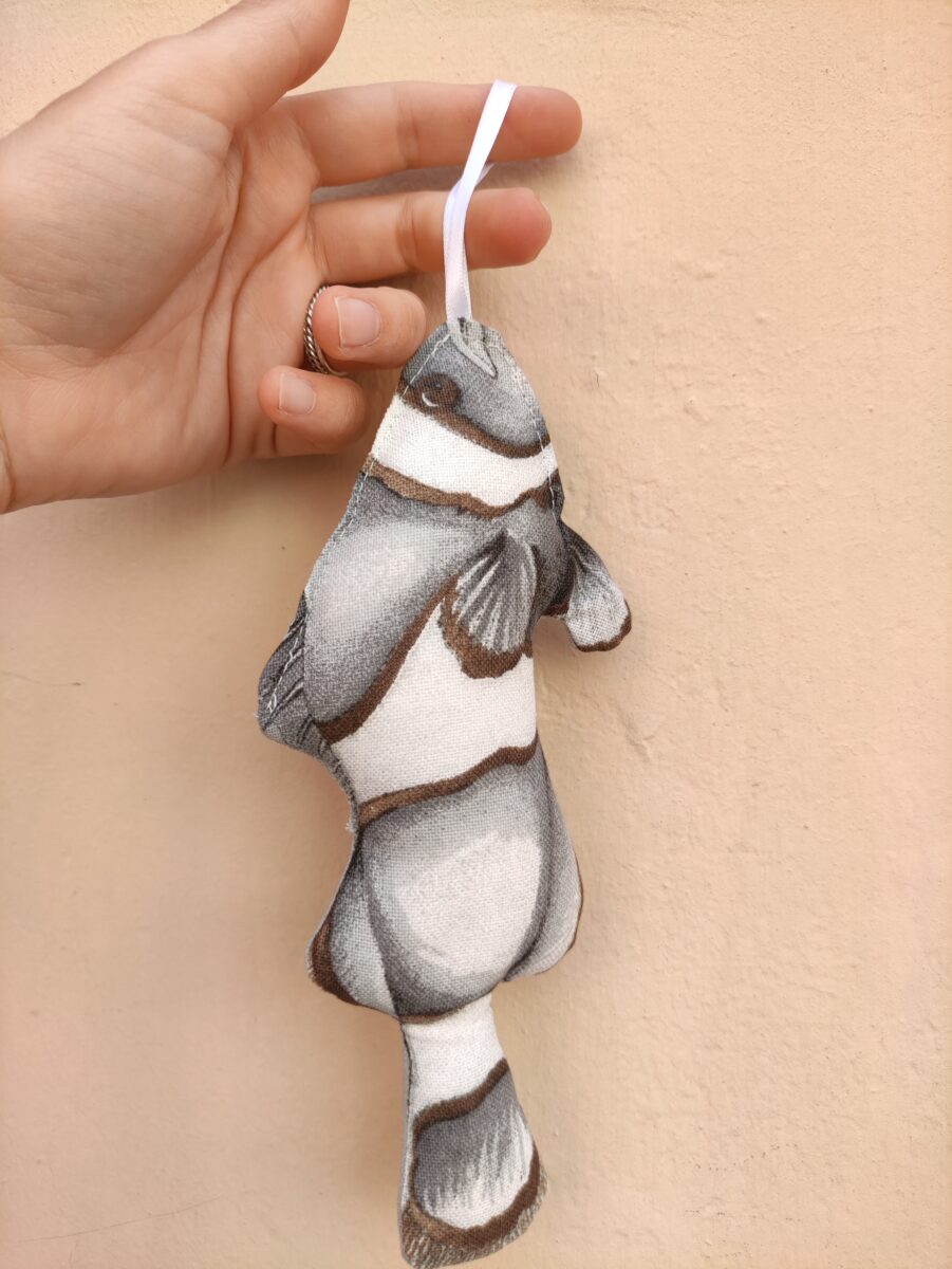 PESCE NEMO GRIGIO Decorazione Pesce Nemo Grigio