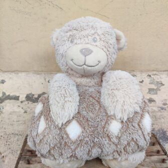 Peluche Orsetto con Plaid