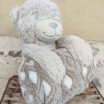 Peluche Orsetto con Plaid
