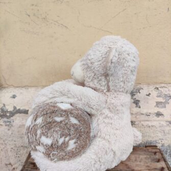 Peluche Orsetto con Plaid