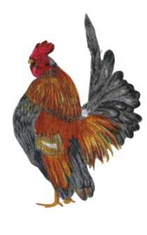 Particolare del tessuto Galli e Galline