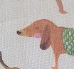 Collezione Cani Bassotti