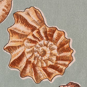 Collezione Corallo Caribe
