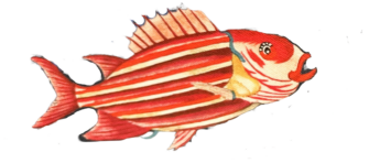 particolare del disegno stampato sul tessuto Pesci Capri