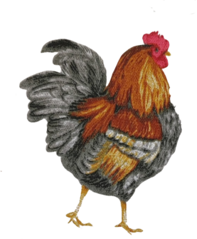 particolare del disegno stampato sul tessuto Galli e Galline