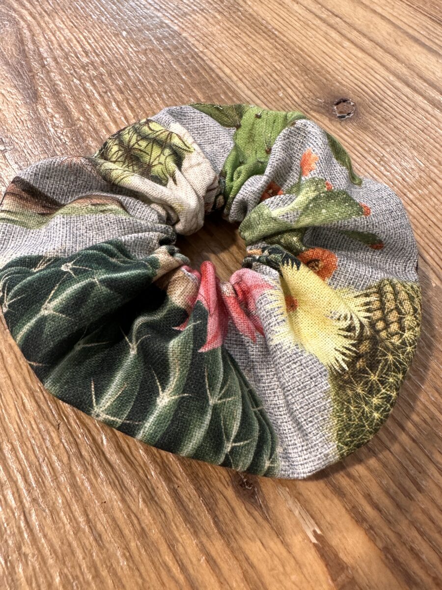 IMG_1831 Scrunchie Cactus