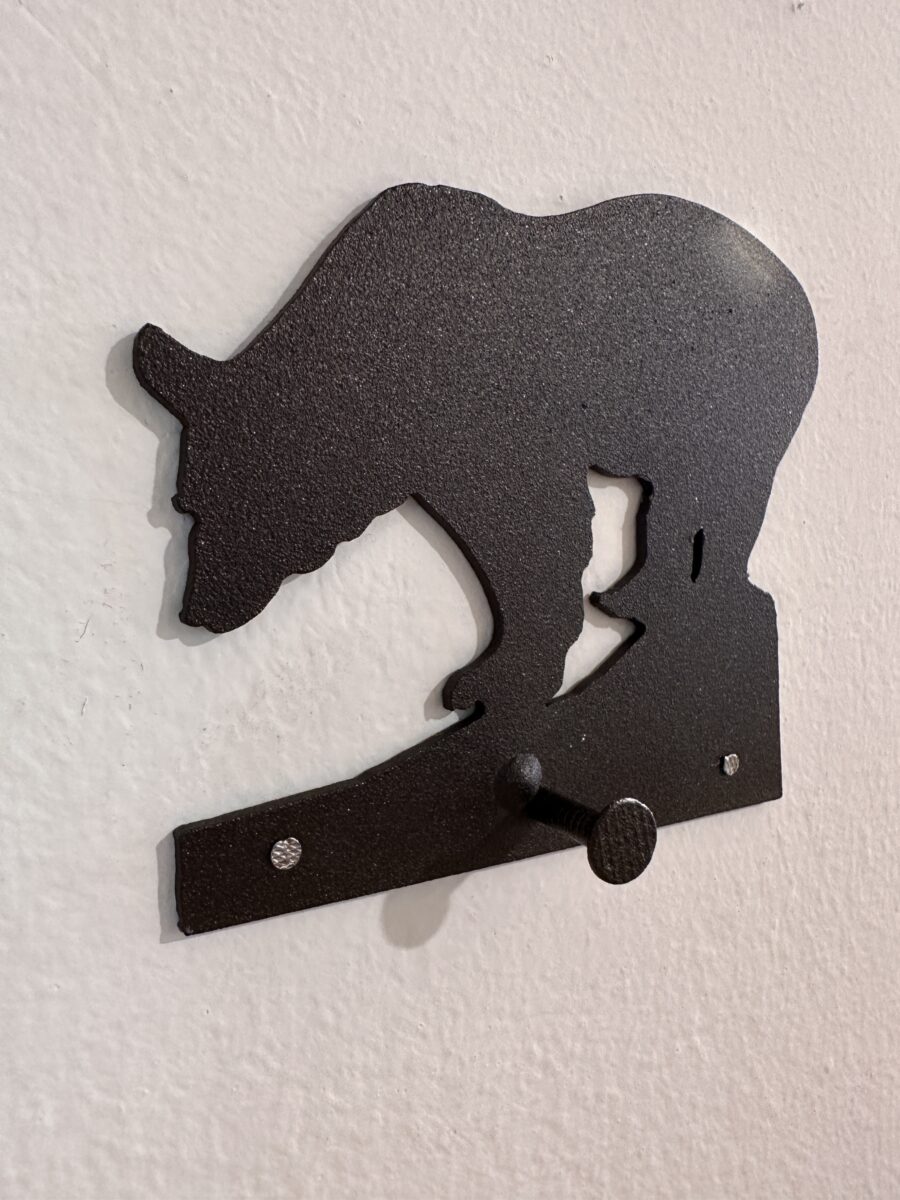 GANCIO APPENDINO ORSO (3)