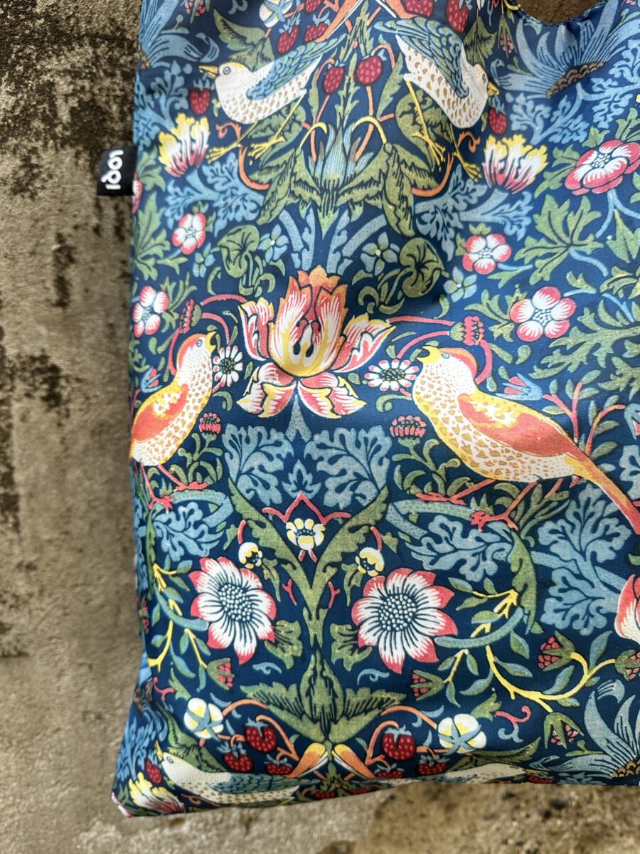 LOQI LADRO DI FRAGOLE (4)