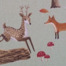 Collezione Bosco Verde