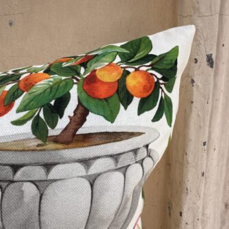 cuscino limoni cedro