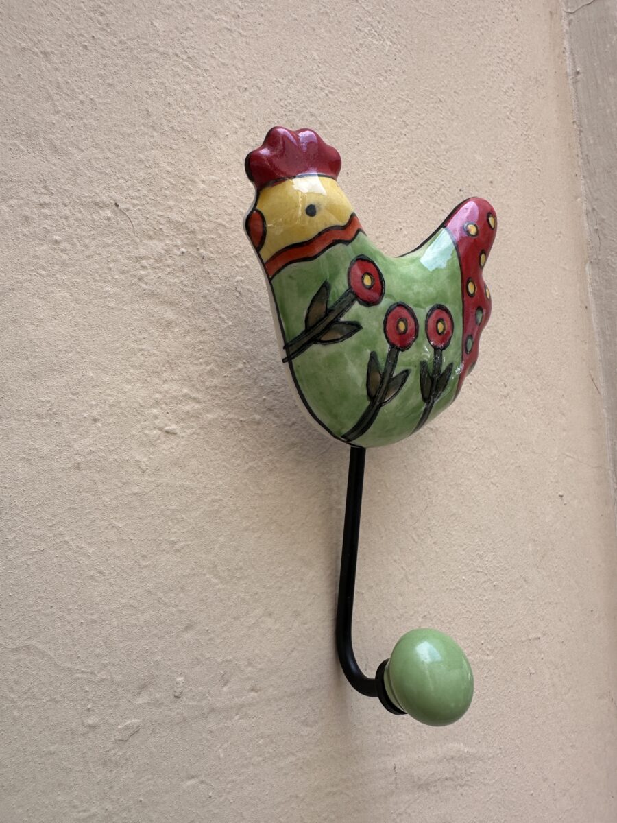 appenditutto gallina verdina (3)